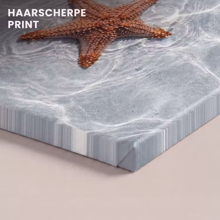 Canvas schilderij - Zeesterren - Water - Helder — 5
