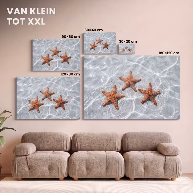Canvas schilderij - Zeesterren - Water - Helder — 8