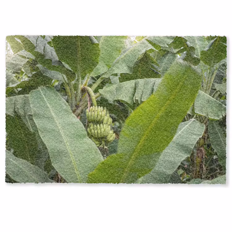 Deurmat - Eten - Bananen - Plantage - Groen — 1
