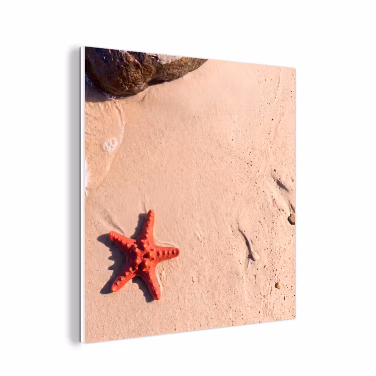 Forex - Dieren - Strand - Zee - Natuur - Rood — 1