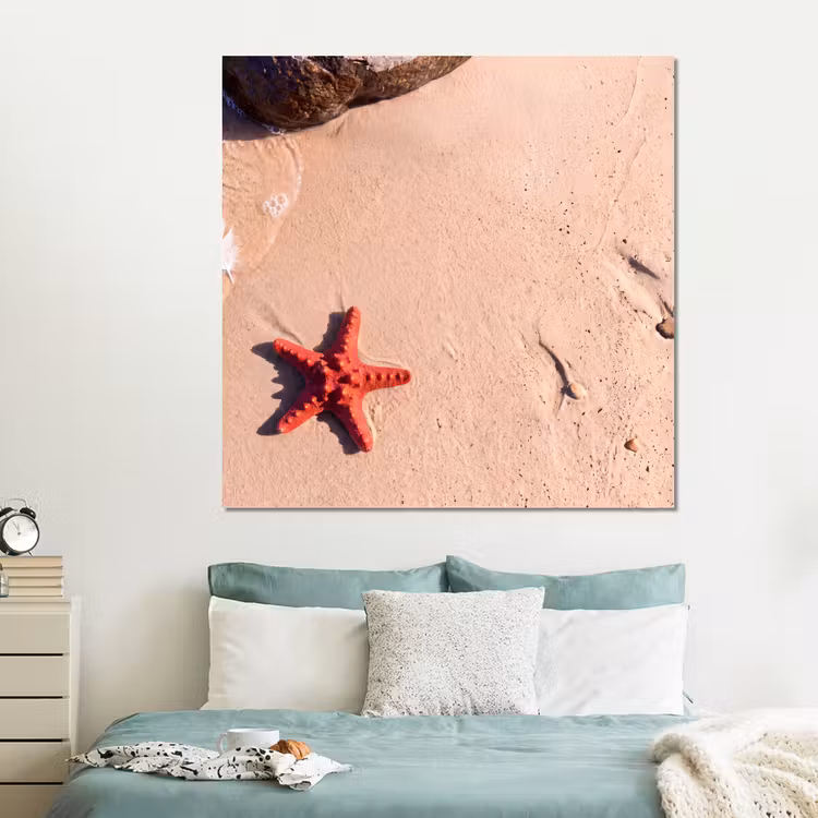 Forex - Dieren - Strand - Zee - Natuur - Rood — 2