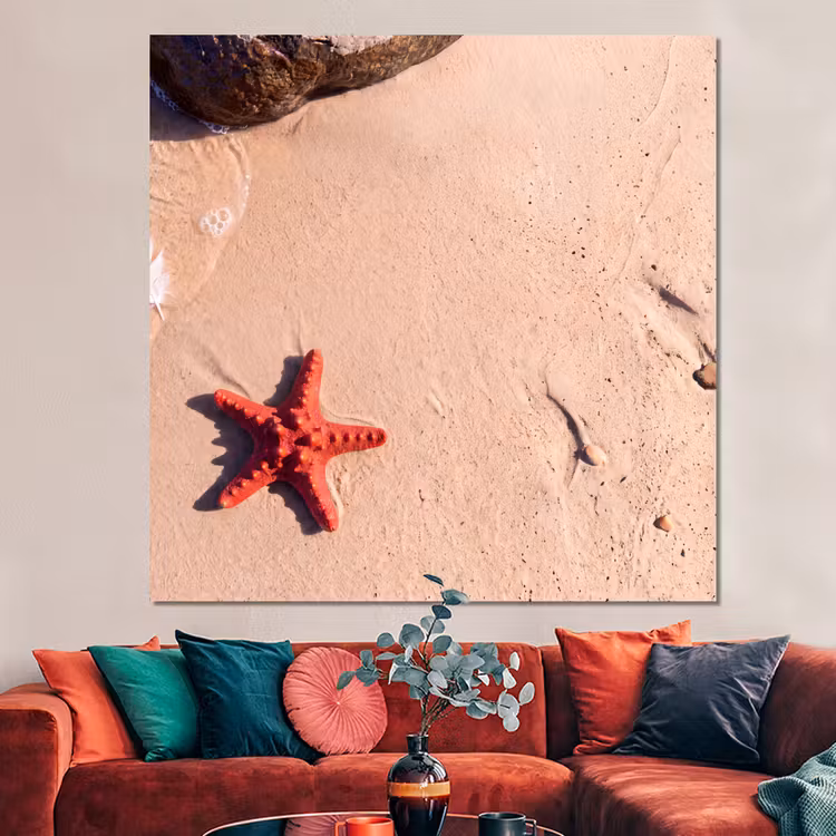 Forex - Dieren - Strand - Zee - Natuur - Rood — 3