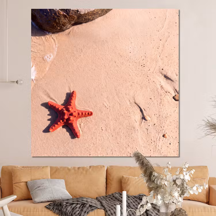 Forex - Dieren - Strand - Zee - Natuur - Rood — 4