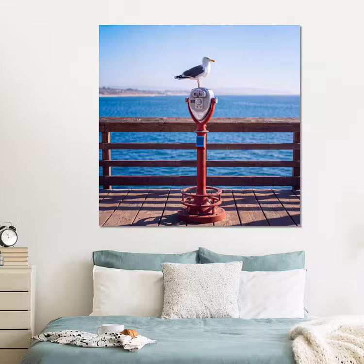 Forex - Vogel - Verrekijker - Kust - Zee - Blauw — 2