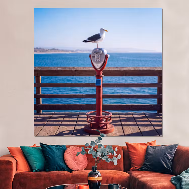 Forex - Vogel - Verrekijker - Kust - Zee - Blauw — 3