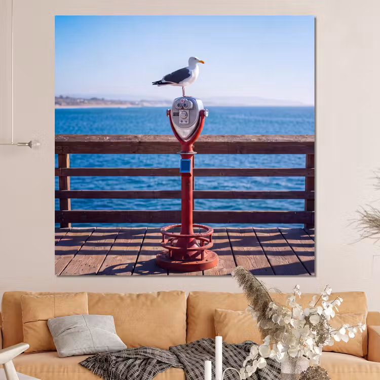 Forex - Vogel - Verrekijker - Kust - Zee - Blauw — 4