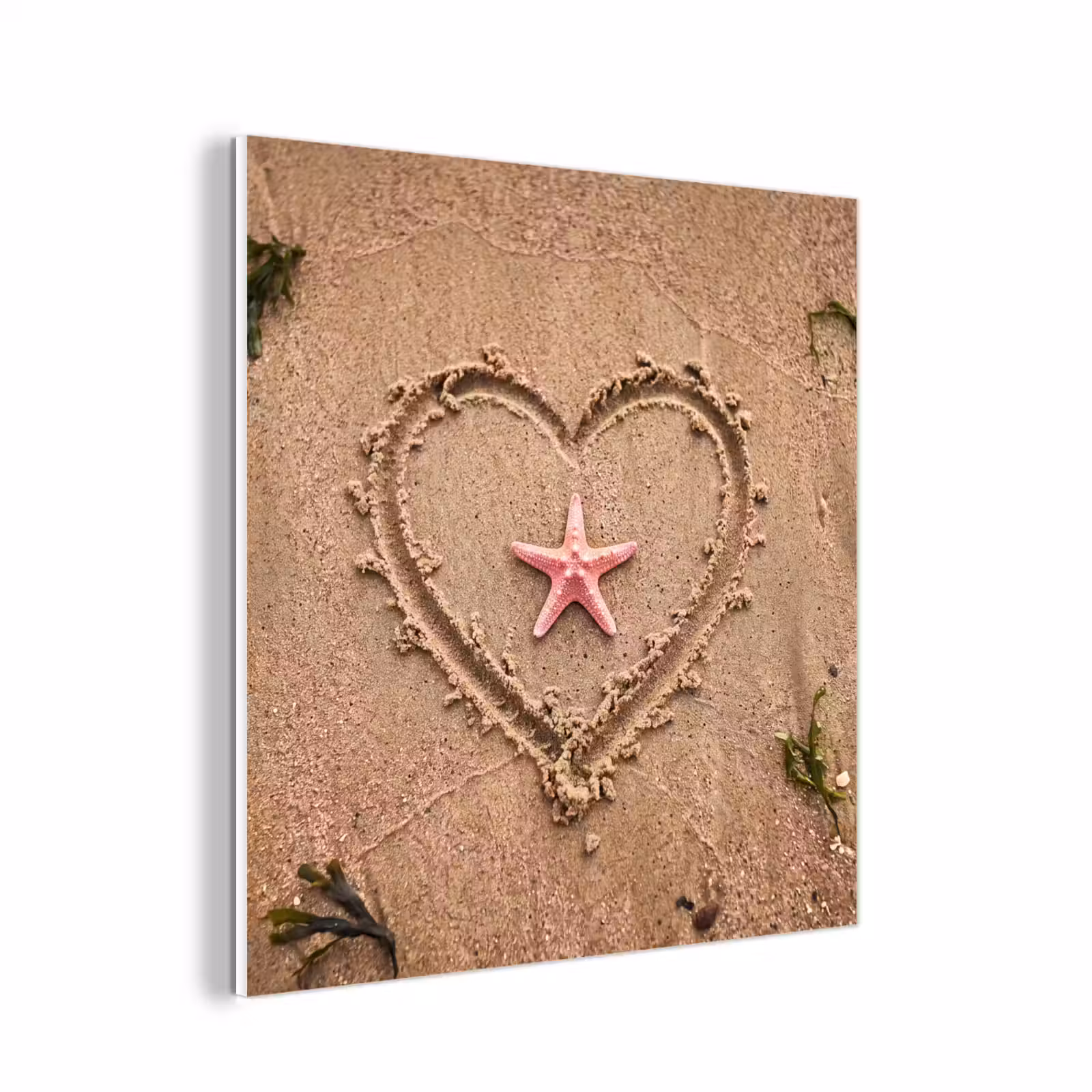 Forex - Dieren - Hart - Strand - Zand - Roze — 1