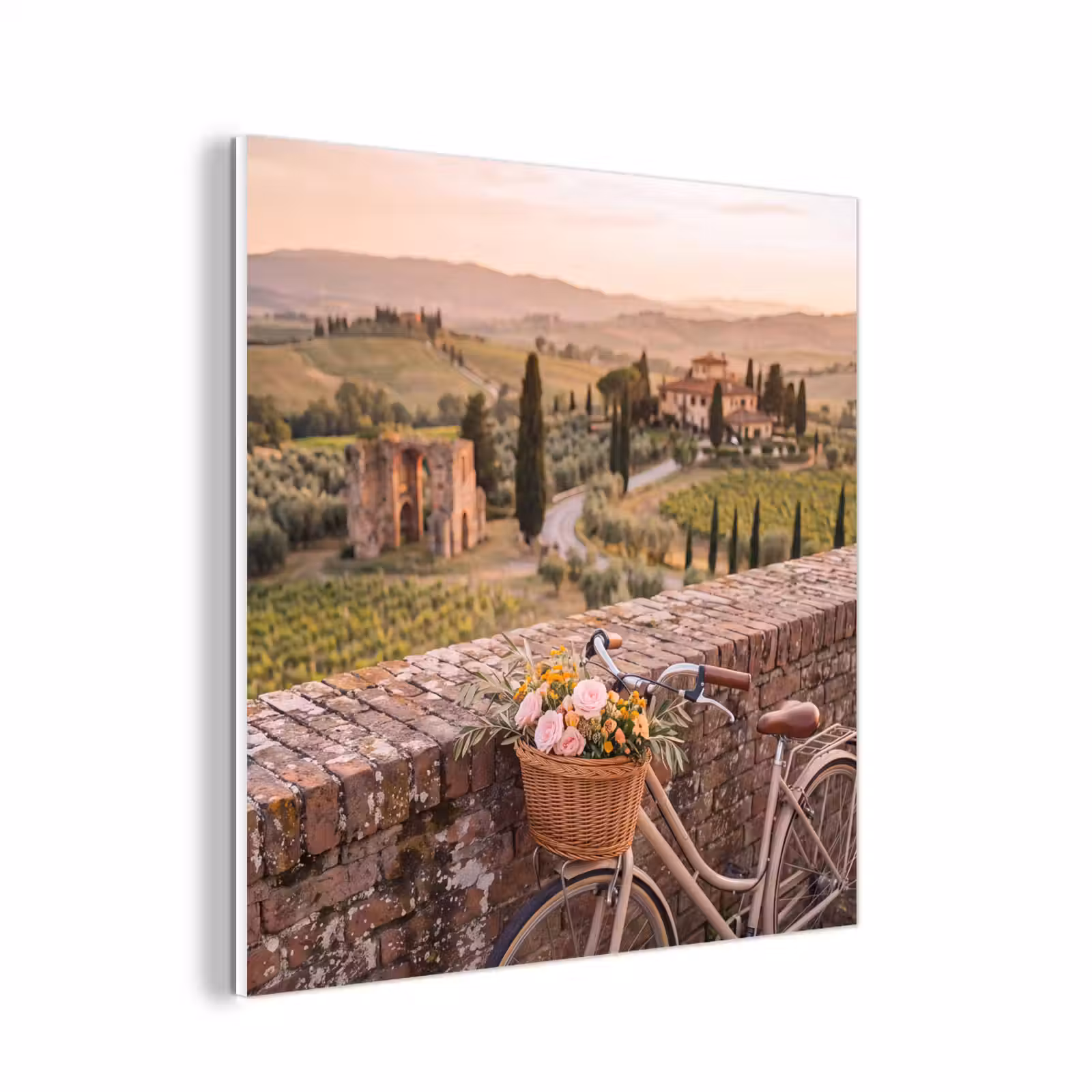 Forex - Fiets - Bloemen - Toscane - Landschap - Roze — 1