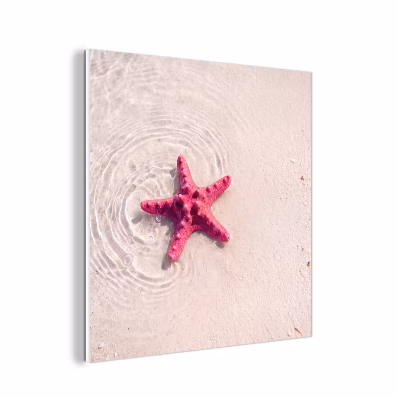 Forex - Zeeleven - Zeester - Strand - Roze - Water — 1