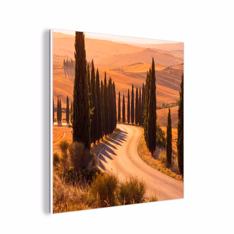 Forex - Landschap - Weg - Bomen - Natuur - Goud — 1