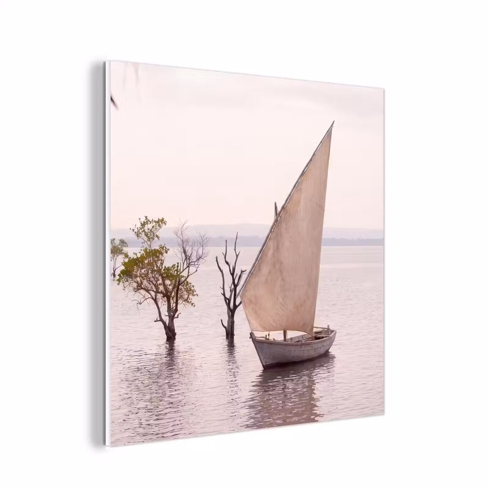 Forex - Boot - Zeil - Water - Tropisch - Natuur — 1