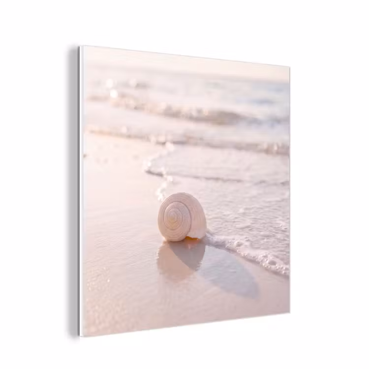 Forex - Zeeschelp - Strand - Zee - Natuur - Beige — 1