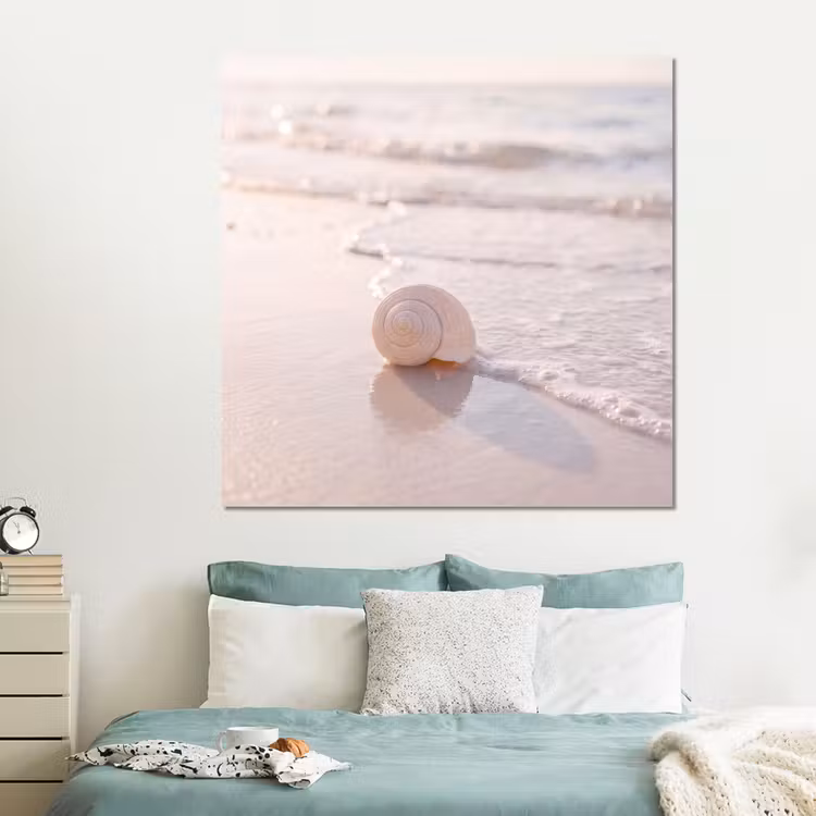 Forex - Zeeschelp - Strand - Zee - Natuur - Beige — 2
