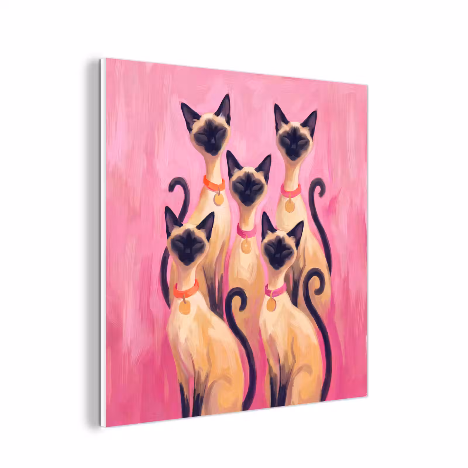 Forex - Kat - Groep - Dieren - Modern - Roze — 1