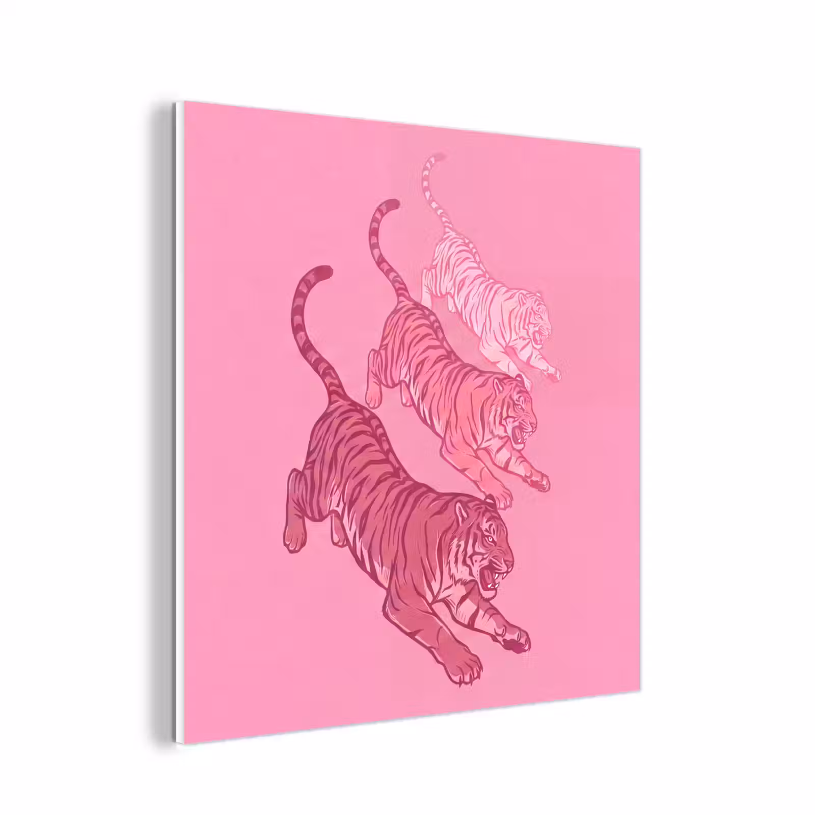 Forex - Kat - Springend - Dieren - Roze - Modern — 1
