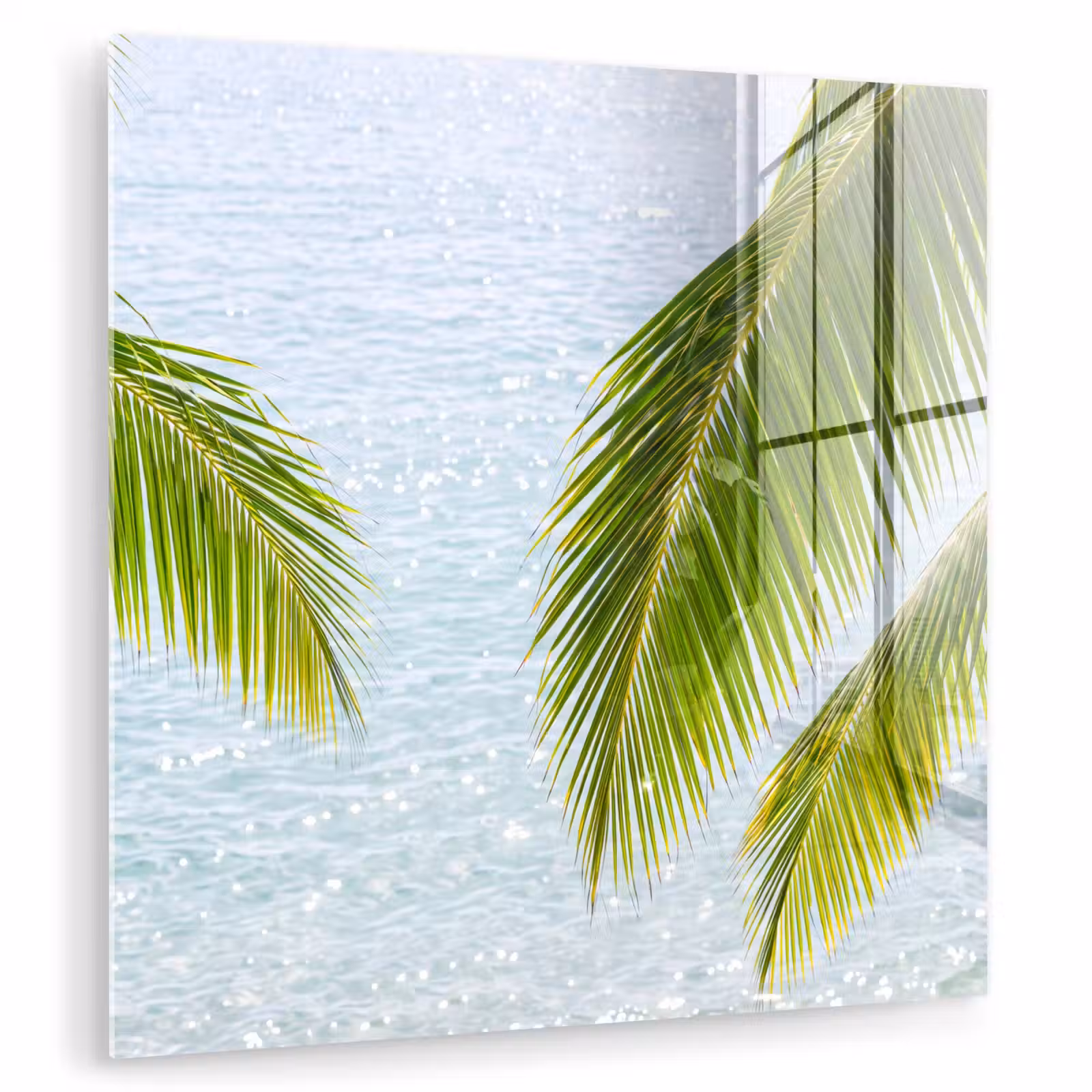 Glas schilderij - Boom - Bladeren - Water - Tropisch - Groen — 1