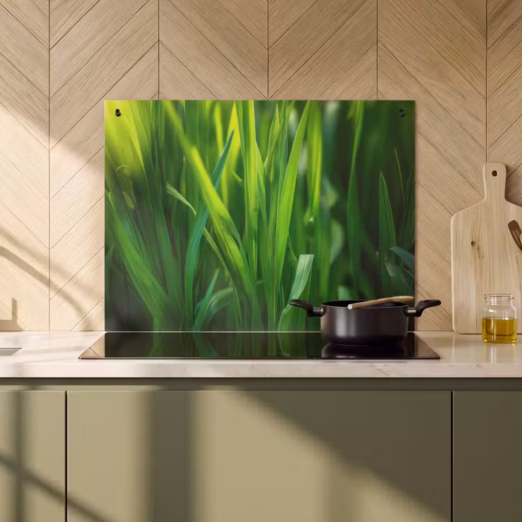 Inductie beschermer en spatscherm (2in1) - Grassprieten - Lichtinval - Groen — 2
