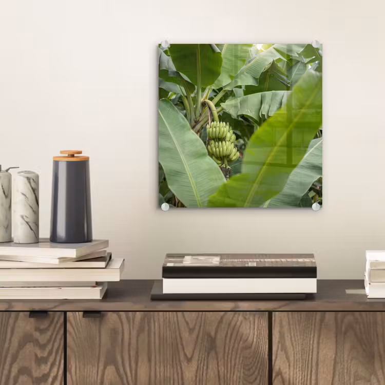 Glas schilderij - Eten - Bananen - Plantage - Groen — 2