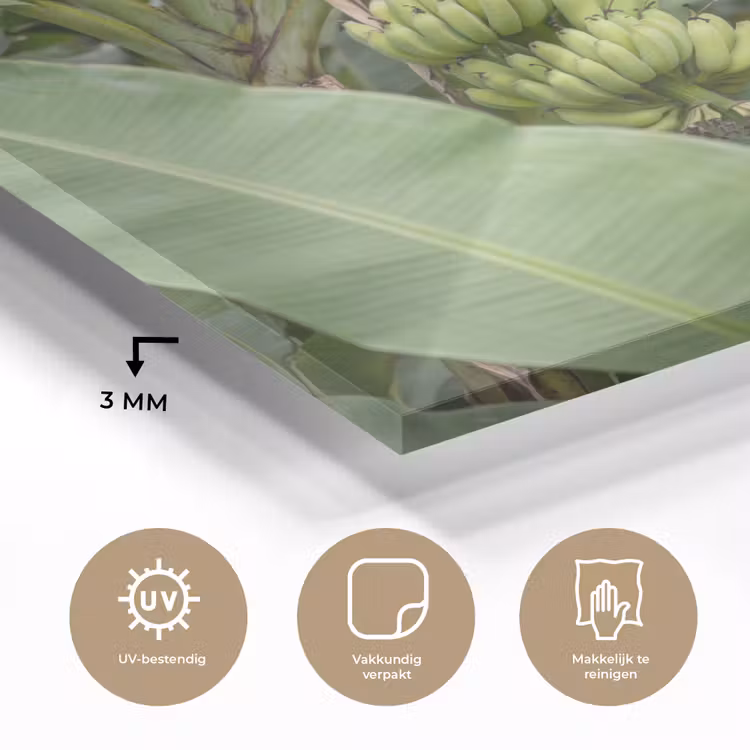 Glas schilderij - Eten - Bananen - Plantage - Groen — 3