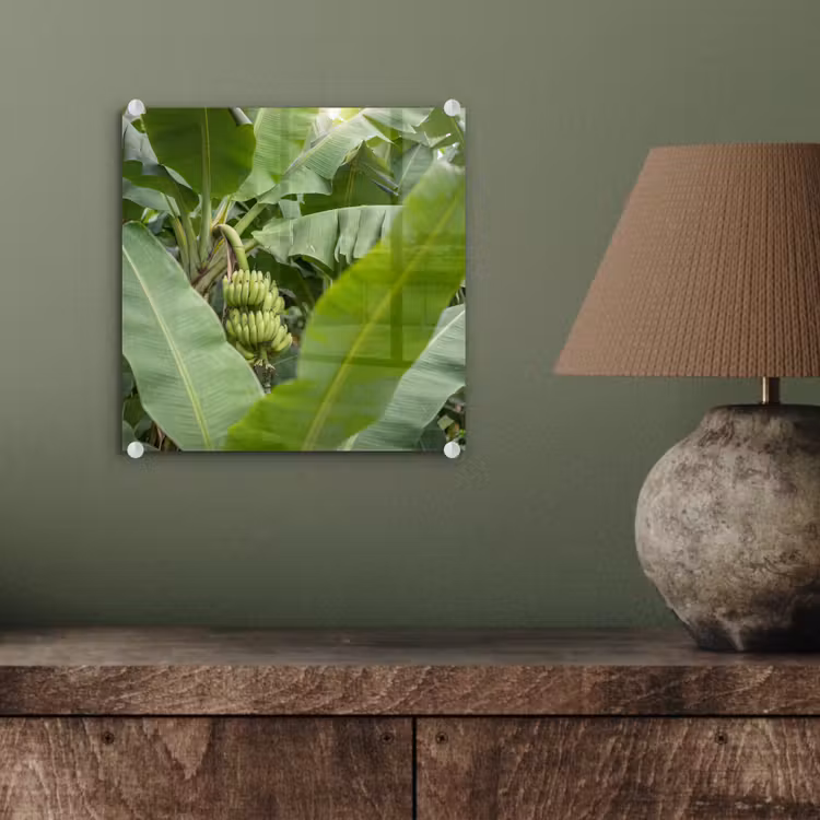Glas schilderij - Eten - Bananen - Plantage - Groen — 4