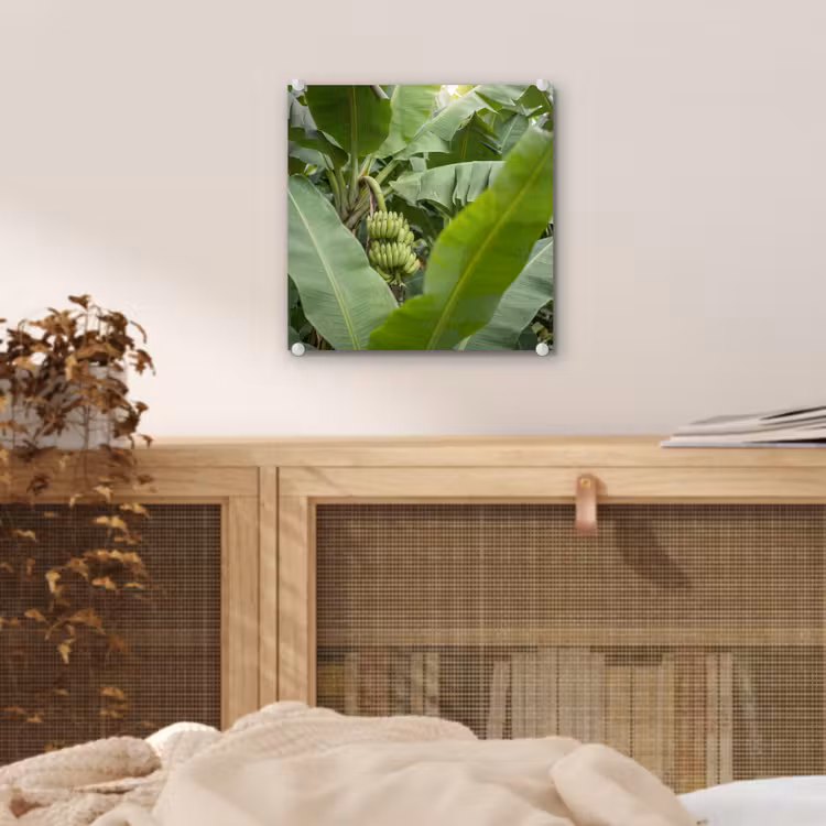 Glas schilderij - Eten - Bananen - Plantage - Groen — 5