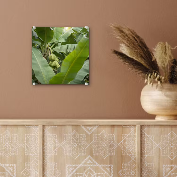 Glas schilderij - Eten - Bananen - Plantage - Groen — 6