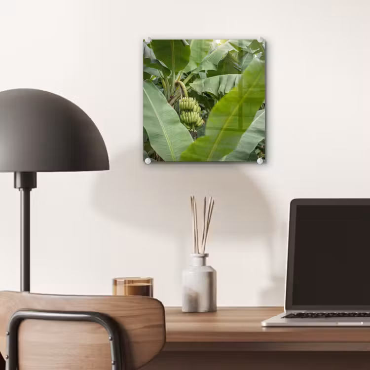 Glas schilderij - Eten - Bananen - Plantage - Groen — 7