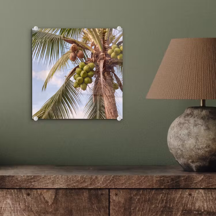 Glas schilderij - Kokosnoot - Boom - Tropisch - Natuur - Groen — 4