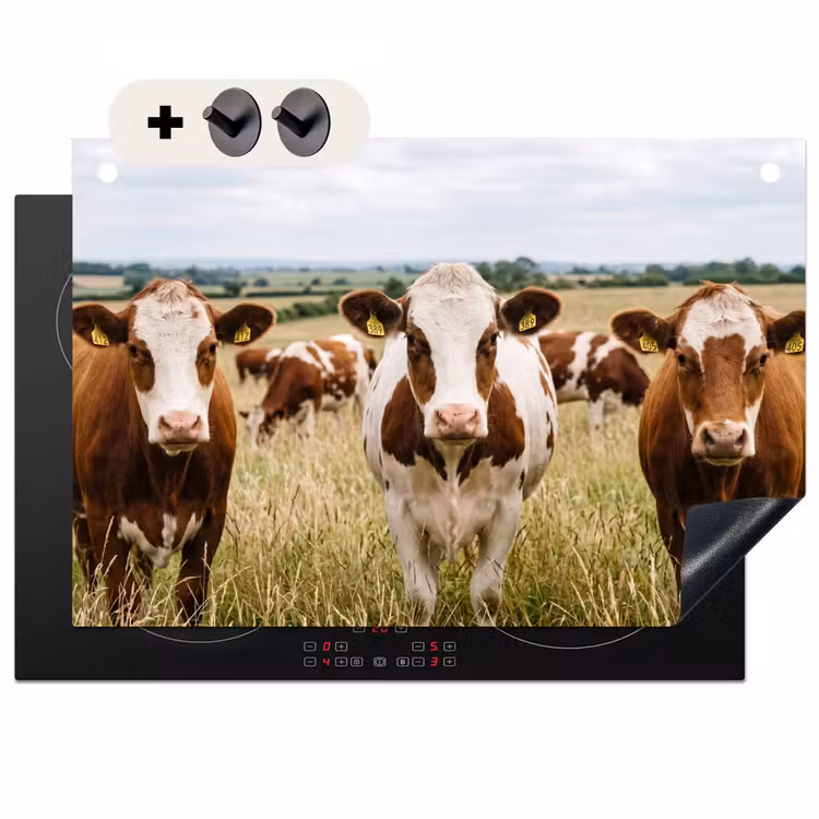 Inductie beschermer en spatscherm (2in1) - Koeien - Portret - Weide - Boerderij - Nieuwsgierig