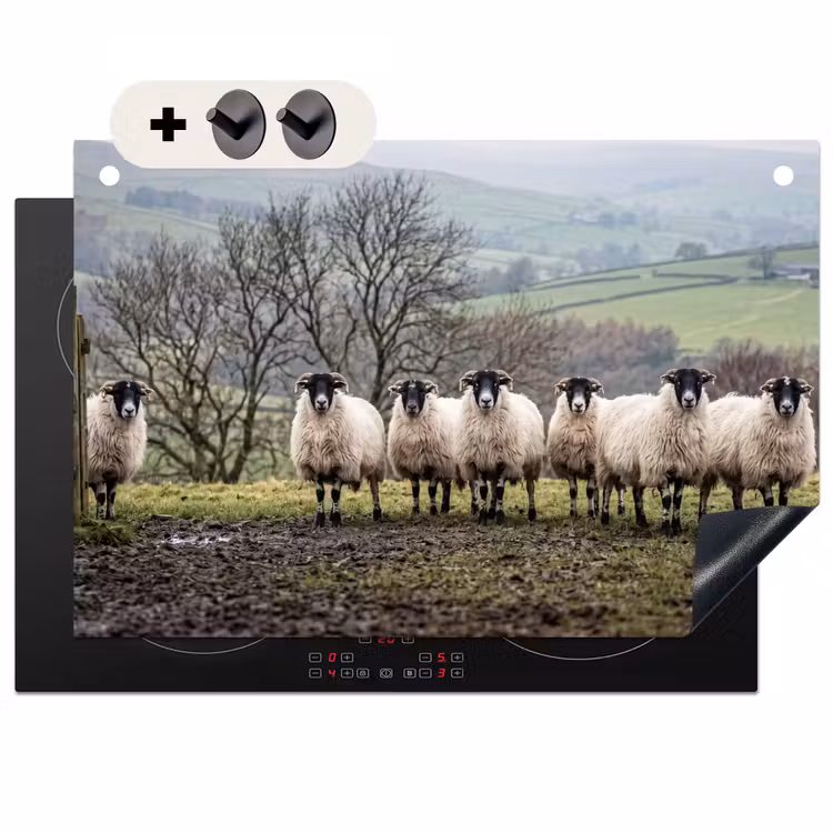 Inductie beschermer en spatscherm (2in1) - Schapen - Rij - Weide - Dieren - Platteland
