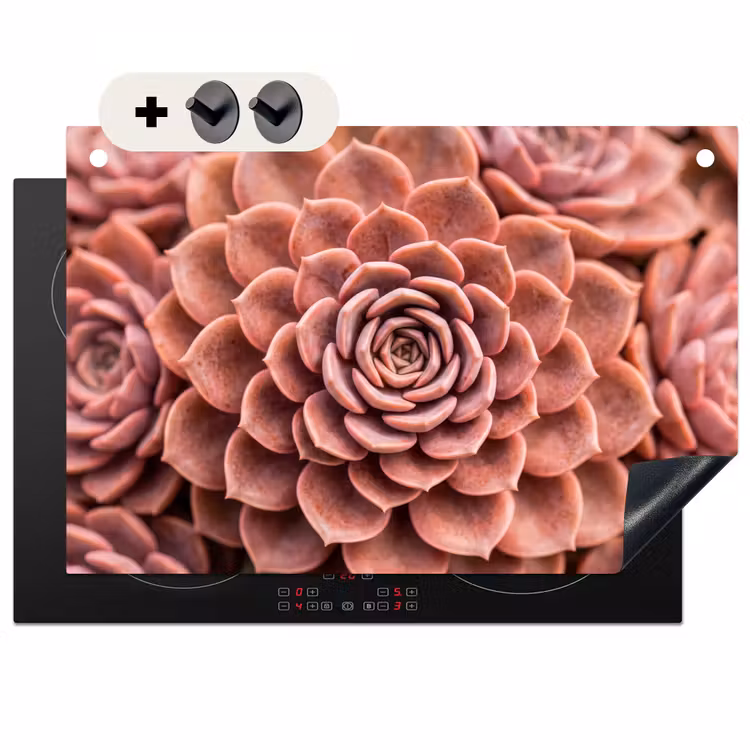 Inductie beschermer en spatscherm (2in1) - Vetplant - Organisch - Roze — 1