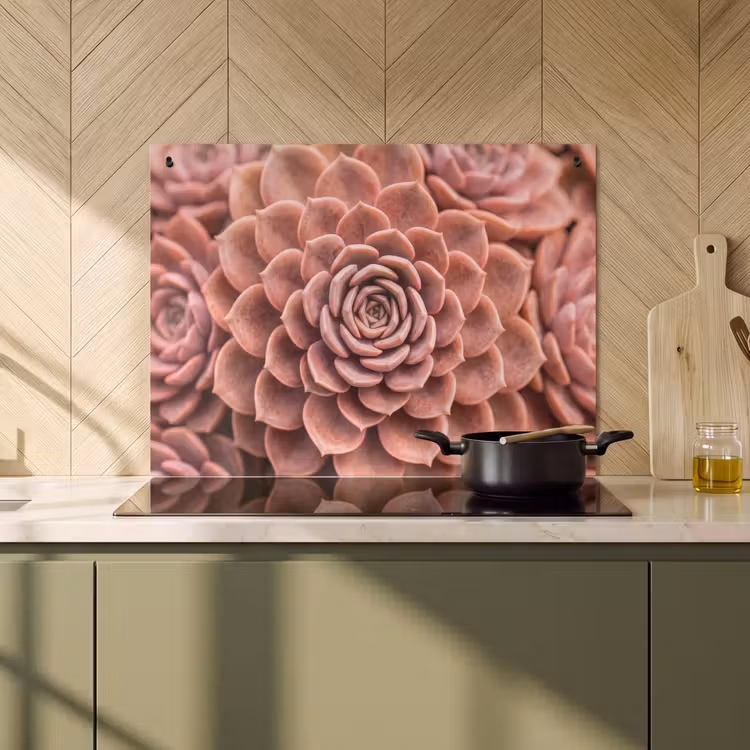 Inductie beschermer en spatscherm (2in1) - Vetplant - Organisch - Roze — 2