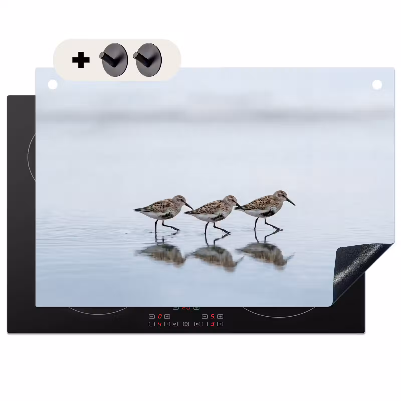 Inductie beschermer en spatscherm (2in1) - Vogels - Water - Grijs — 1