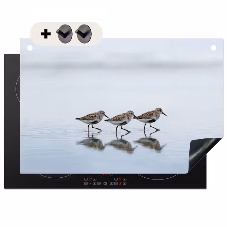 Inductie beschermer en spatscherm (2in1) - Vogels - Water - Grijs — 1