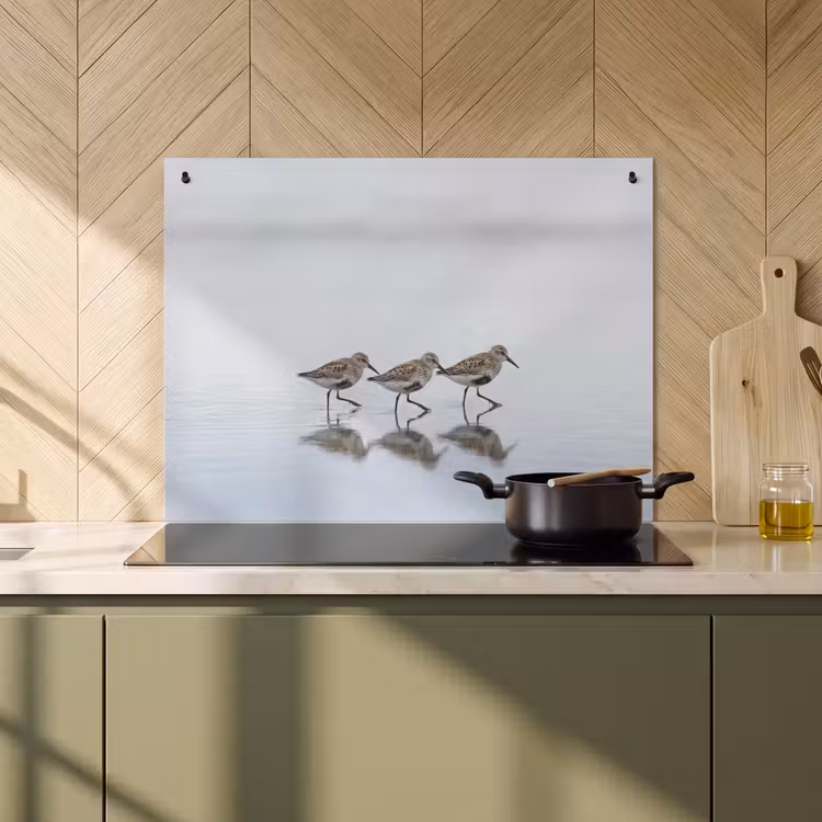 Inductie beschermer en spatscherm (2in1) - Vogels - Water - Grijs — 2