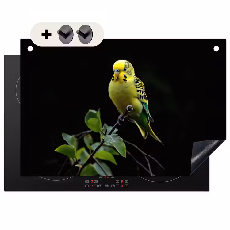 Inductie beschermer en spatscherm (2in1) - Parkiet - Tak - Bladeren - Geel — 1
