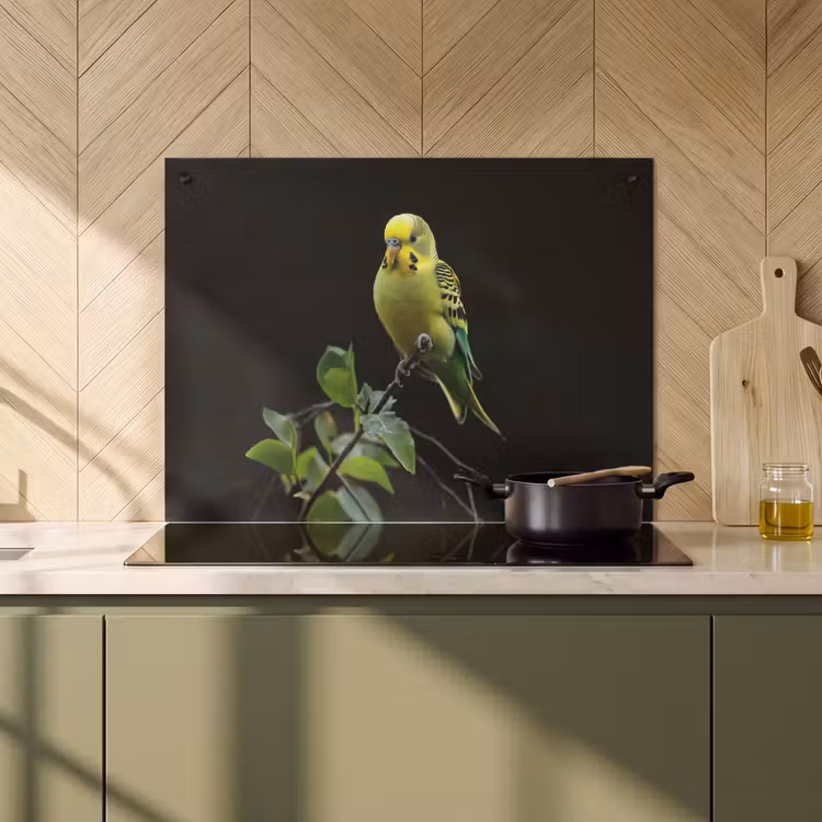Inductie beschermer en spatscherm (2in1) - Parkiet - Tak - Bladeren - Geel — 2