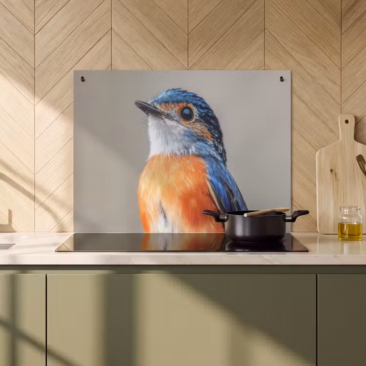 Inductie beschermer en spatscherm (2in1) - Kleurrijk - Vogeltje - Veren - Blauw — 2