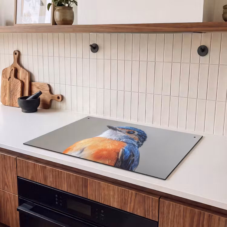Inductie beschermer en spatscherm (2in1) - Kleurrijk - Vogeltje - Veren - Blauw — 3