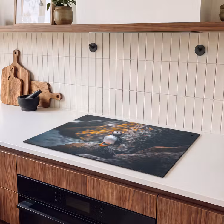 Inductie beschermer en spatscherm (2in1) - Papegaai - Vogel - Rots - Wit — 3