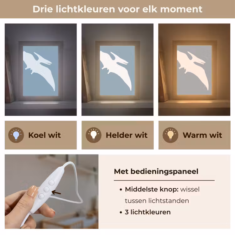 Lightbox - Wandlamp kinderkamer - Dino - Pteranodon - Dinosaurus - Blauw — 7