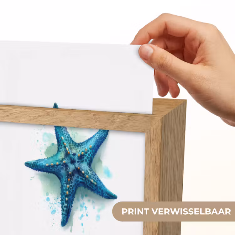Lightbox - Wandlamp kinderkamer - Zeester - Blauw - Spetters — 5