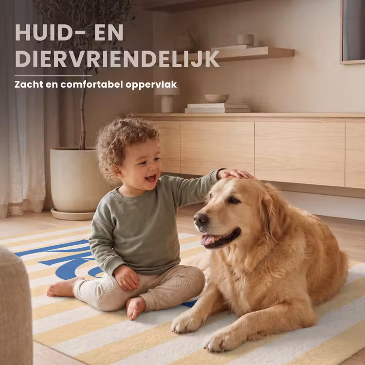 Vloerkleed - Blauw - Geel - Strepen - Prost — 6
