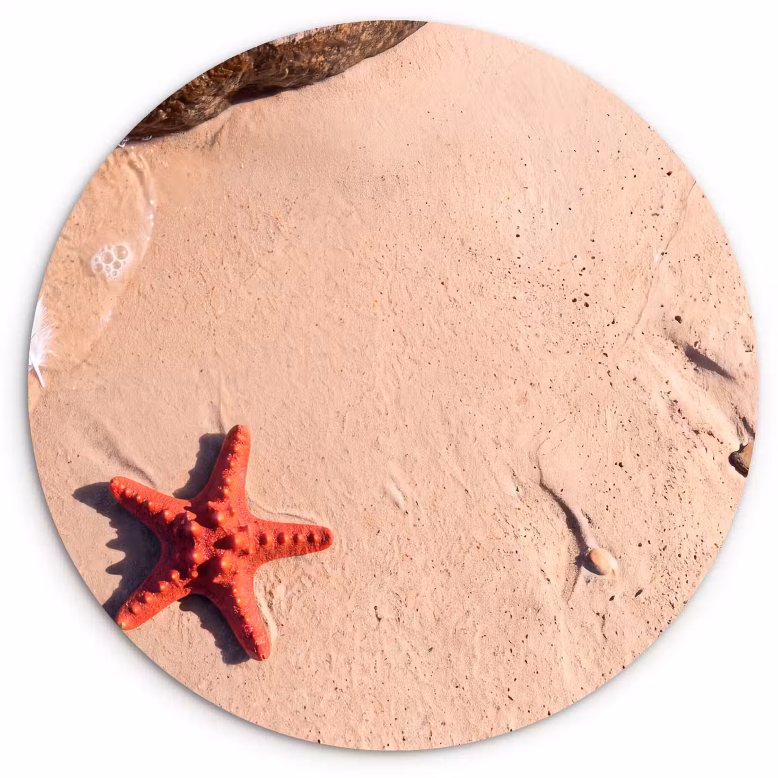 Wandcirkel - Glas - Dieren - Strand - Zee - Natuur - Rood — 1