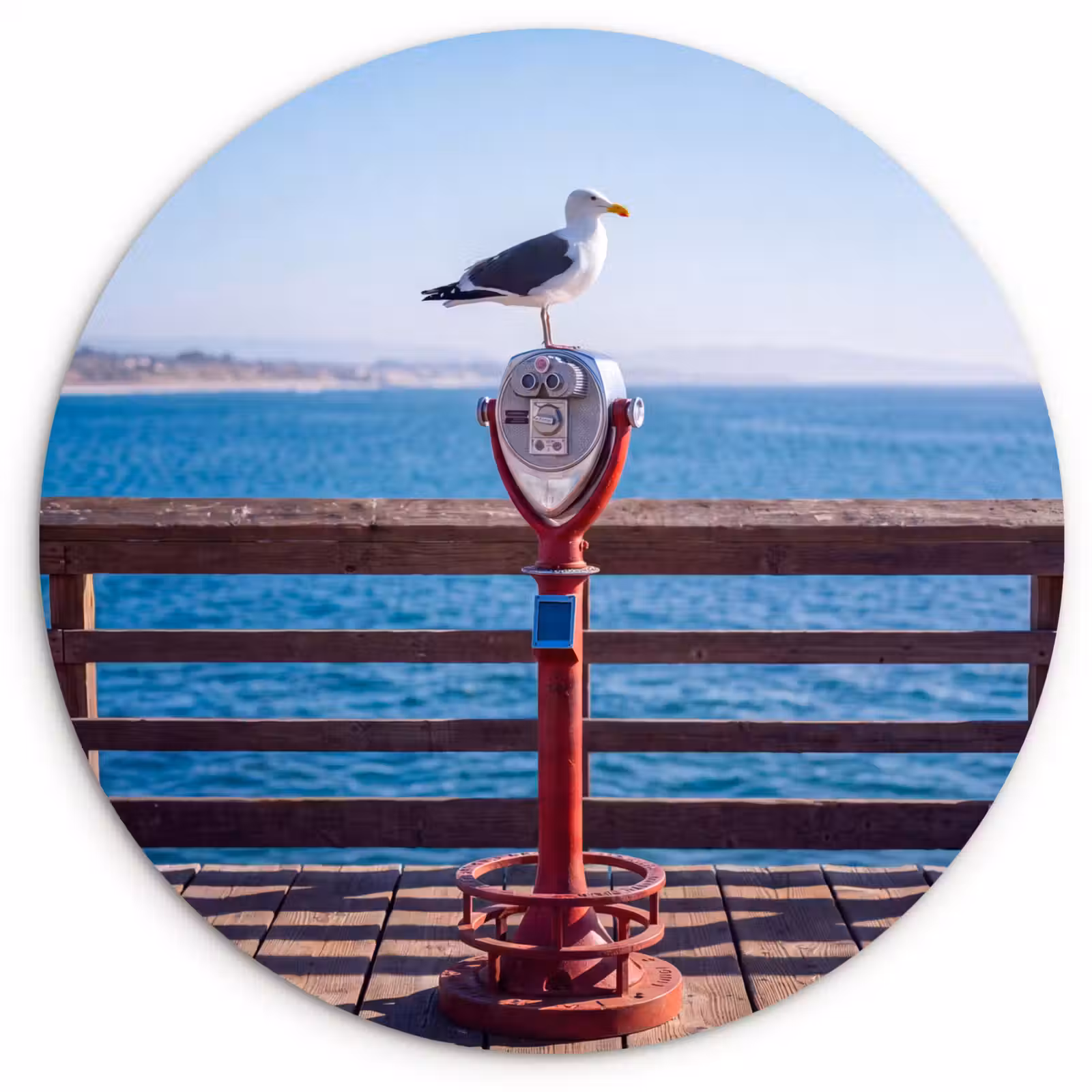 Wandcirkel - Glas - Vogel - Verrekijker - Kust - Zee - Blauw — 1