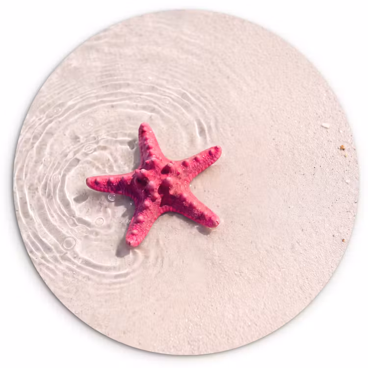 Wandcirkel - Glas - Zeeleven - Zeester - Strand - Roze - Water — 1