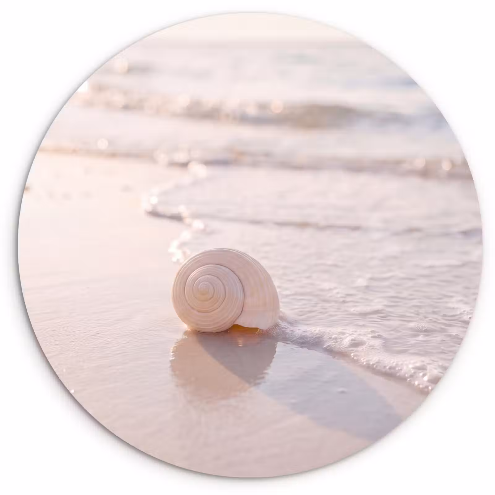 Wandcirkel - Glas - Zeeschelp - Strand - Zee - Natuur - Beige — 1