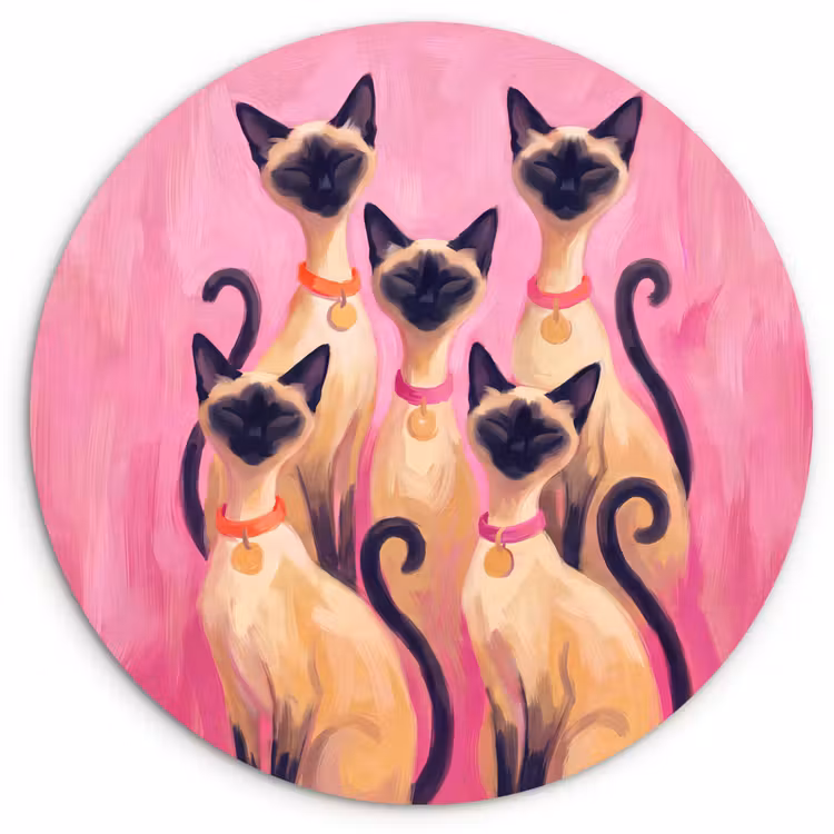 Wandcirkel - Glas - Kat - Groep - Dieren - Modern - Roze — 1