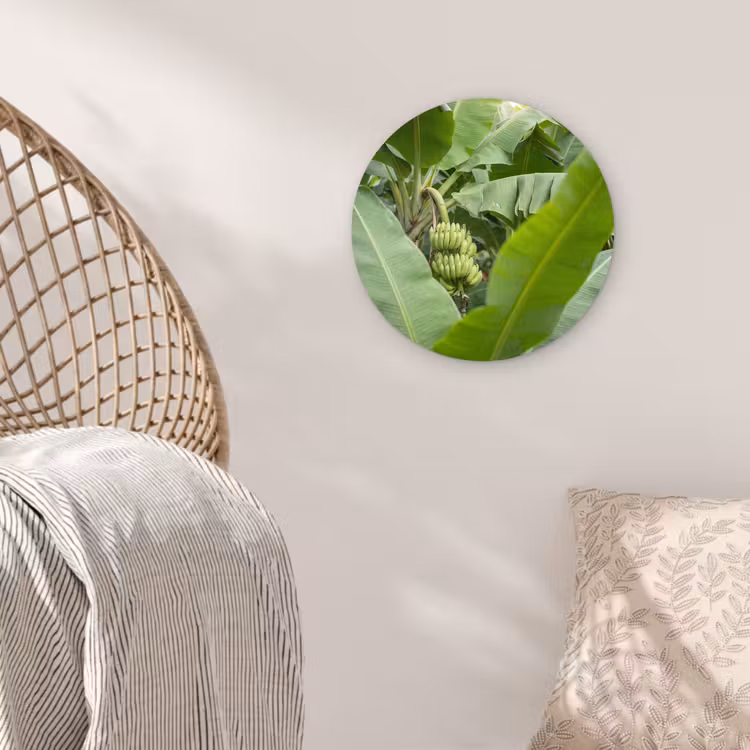 Wandcirkel - Glas - Eten - Bananen - Plantage - Groen — 5