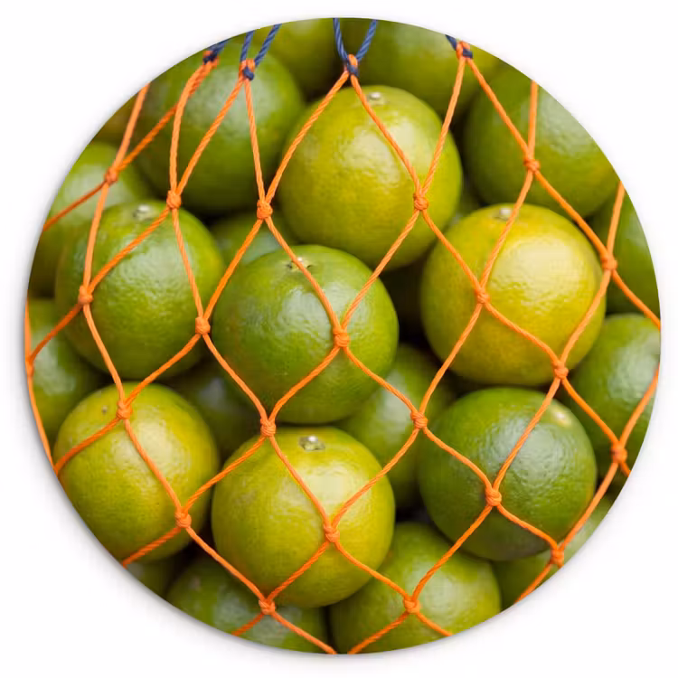 Wandcirkel - Glas - Eten - Net - Groen - Markt — 1